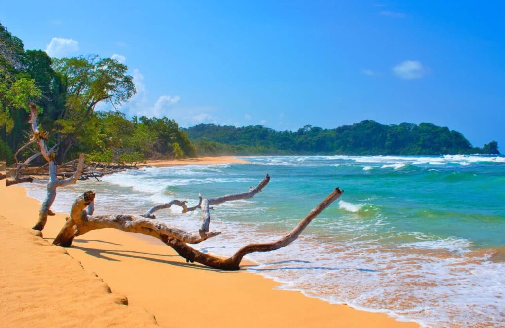 olas en playa wizard beach en bocas del toro