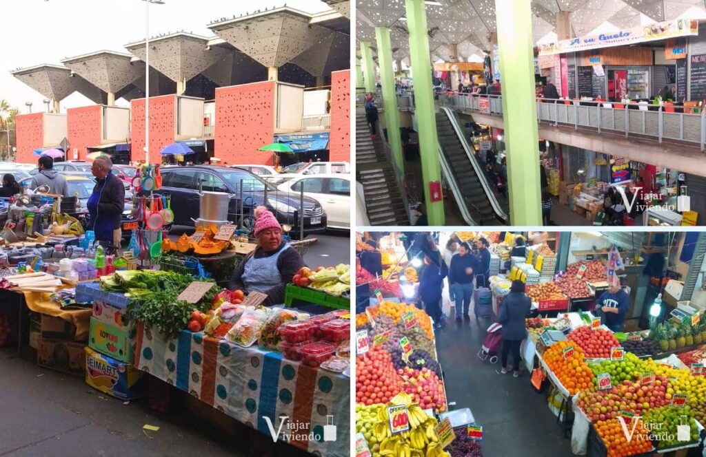 mercado tirso de molina en santiago de chile