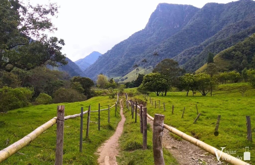 sendero en el valle de cocora