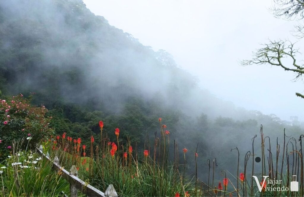 vistas desde la finca la montaña con niebla