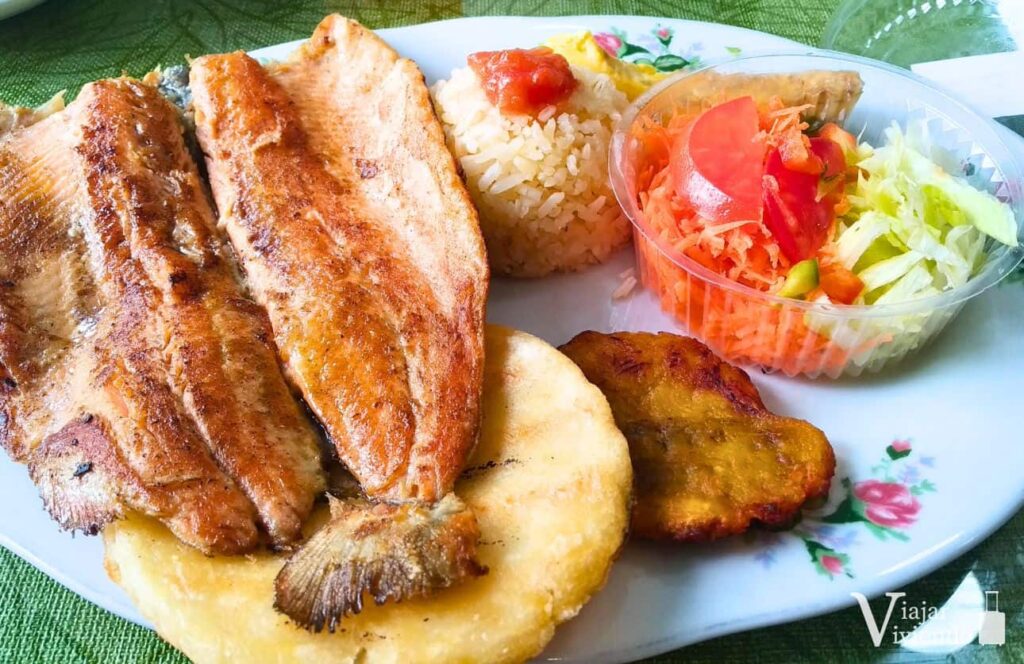 plato de trucha con patacon y arroz tipico de salento colombia