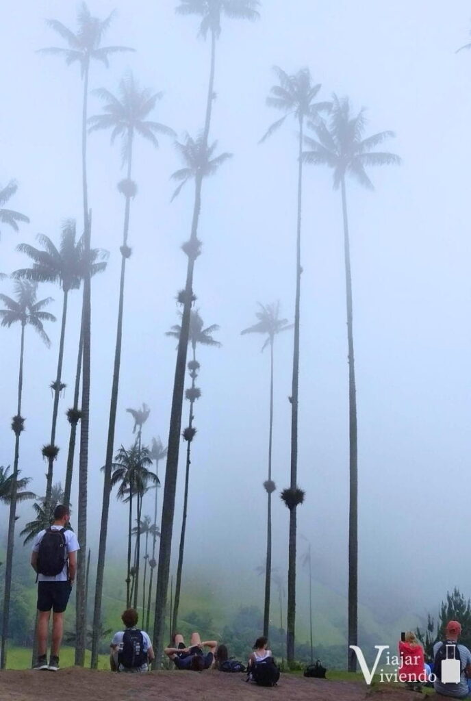 niebla en el mirador del valle de cocora